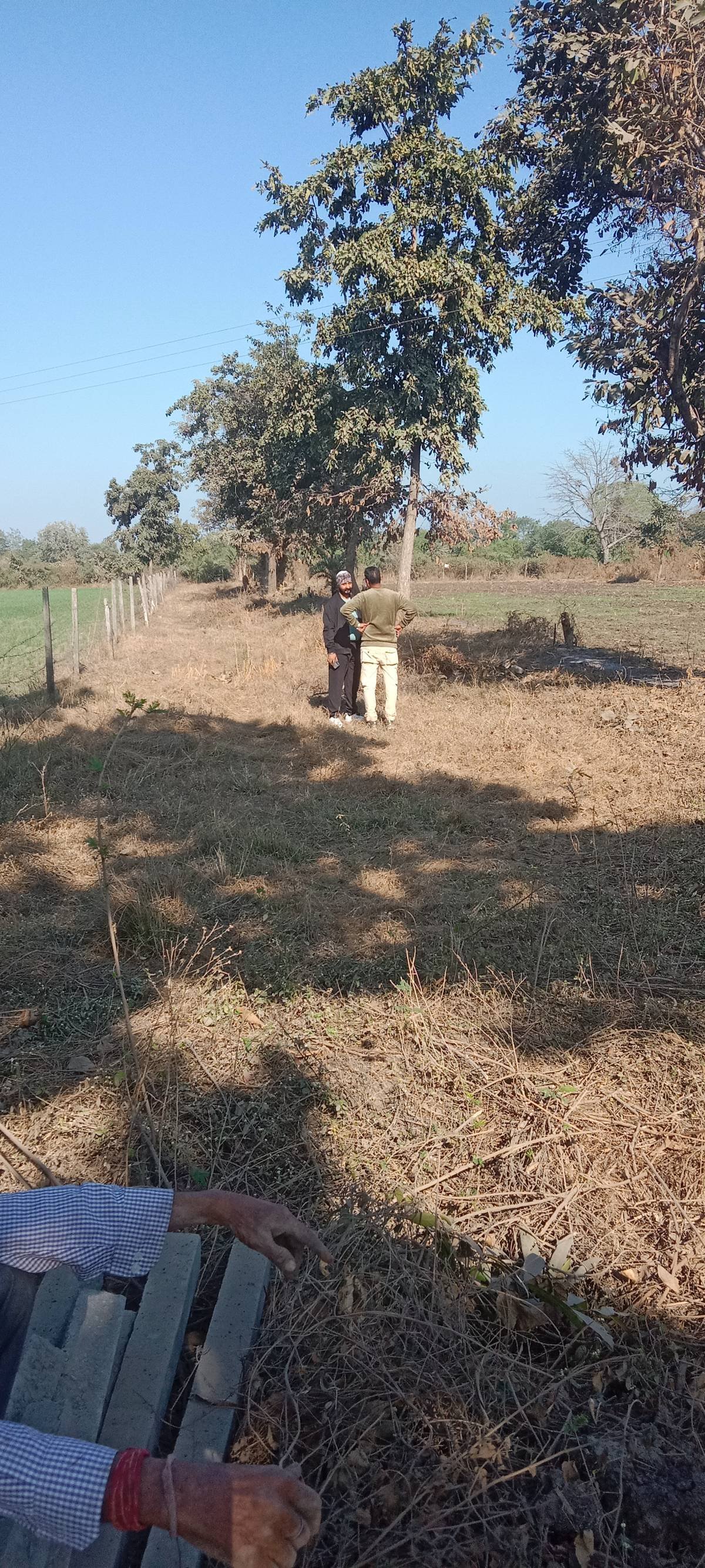 Avadhesh yadav