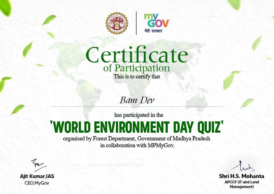 BAM DEV
